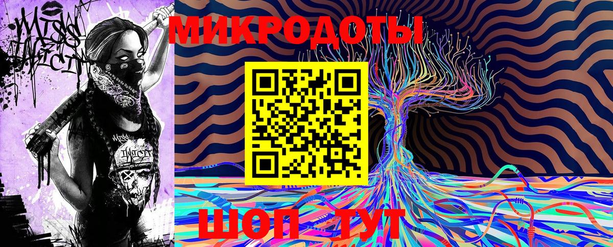 Псилоцибиновые грибы Psilocybe Отрадное